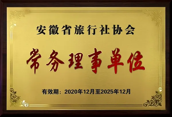 安徽省旅行社协会常务理事单位证书 — 有效期2020至2025年