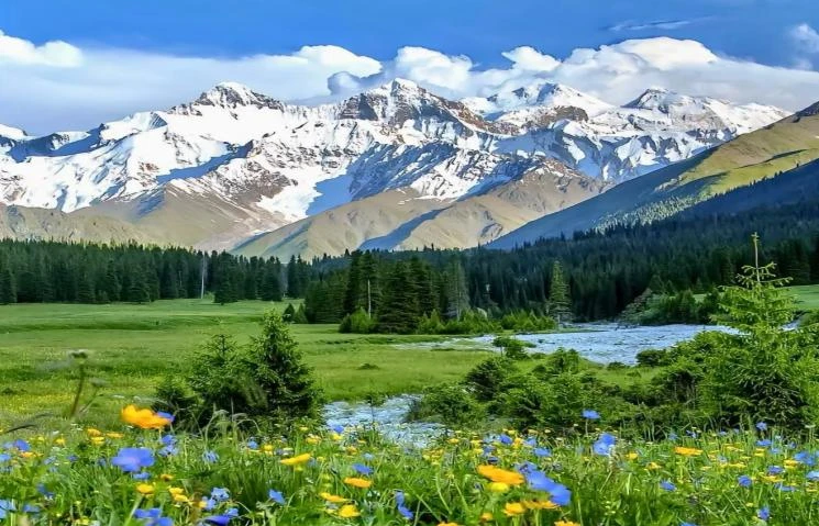 伊宁 → 库尔德宁